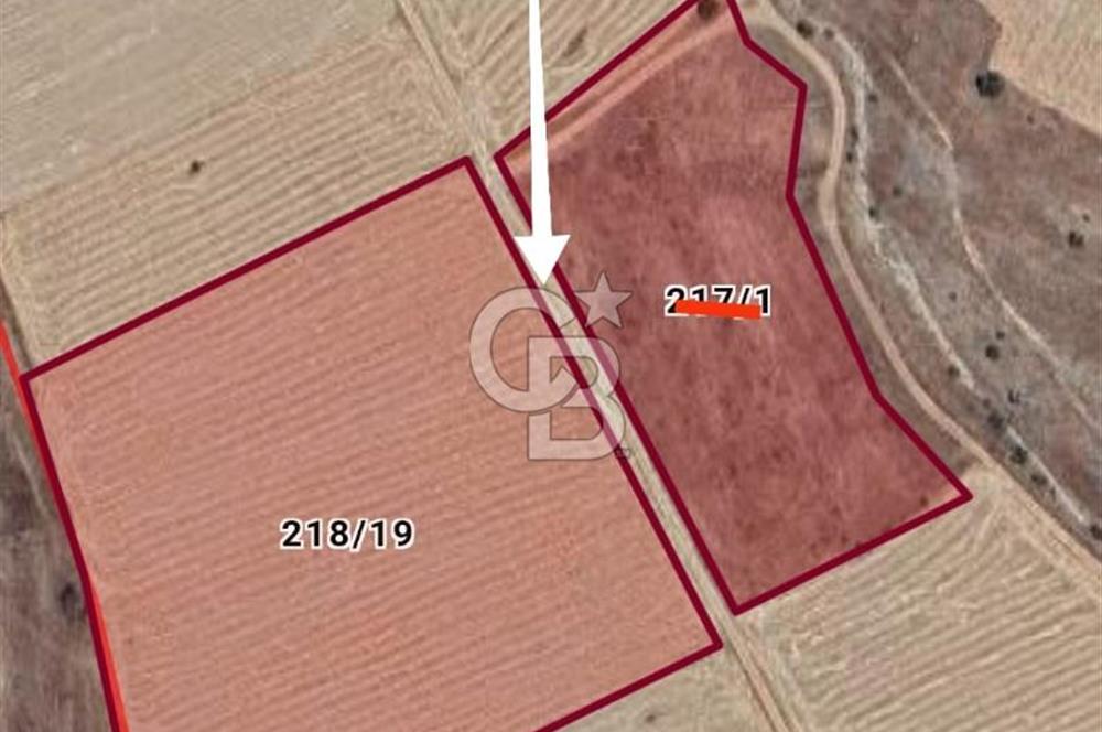 Afyon Evciler Altınova Köyünde Müstakil Tapulu 34.000 m2 Tarla