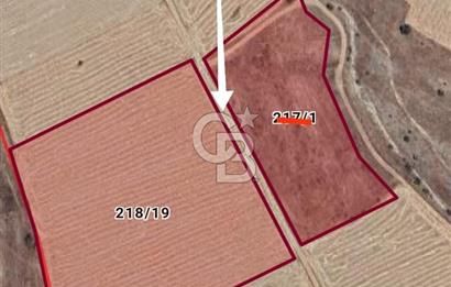 Afyon Evciler Altınova Köyünde Müstakil Tapulu 34.000 m2 Tarla