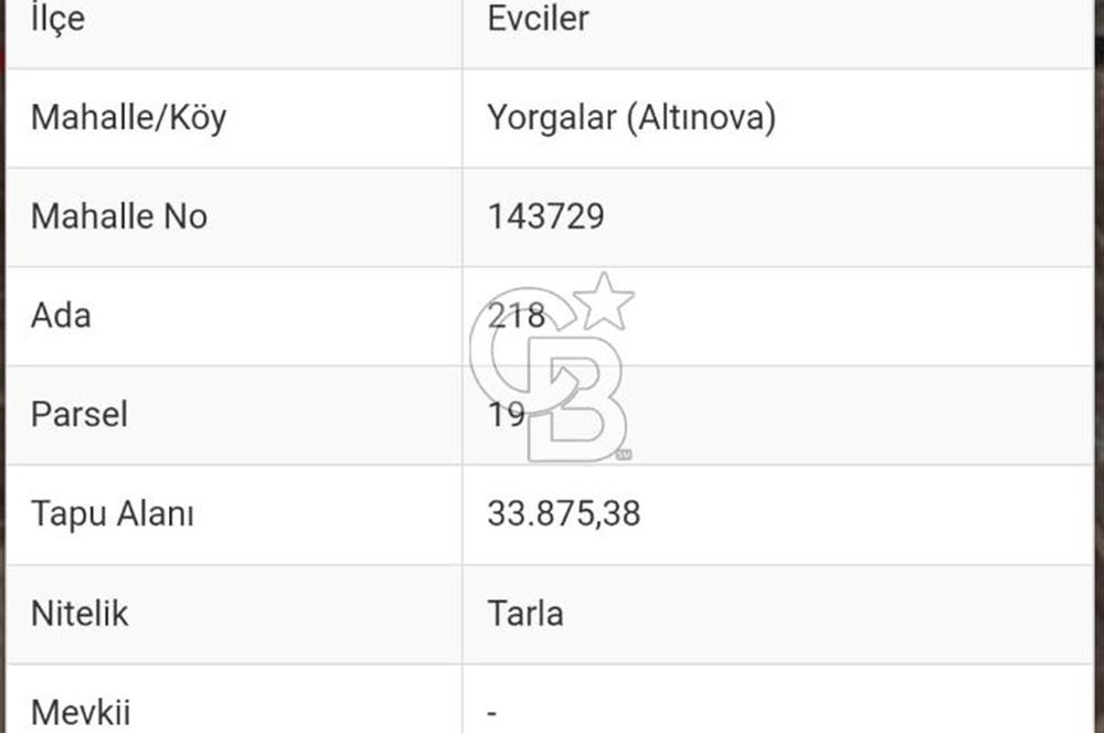 Afyon Evciler Altınova Köyünde Müstakil Tapulu 34.000 m2 Tarla