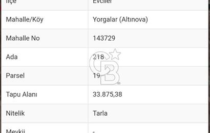 Afyon Evciler Altınova Köyünde Müstakil Tapulu 34.000 m2 Tarla
