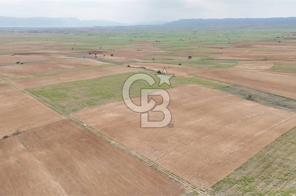 Afyon Evciler Altınova Köyünde Müstakil Tapulu 34.000 m2 Tarla