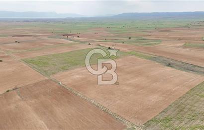 Afyon Evciler Altınova Köyünde Müstakil Tapulu 34.000 m2 Tarla