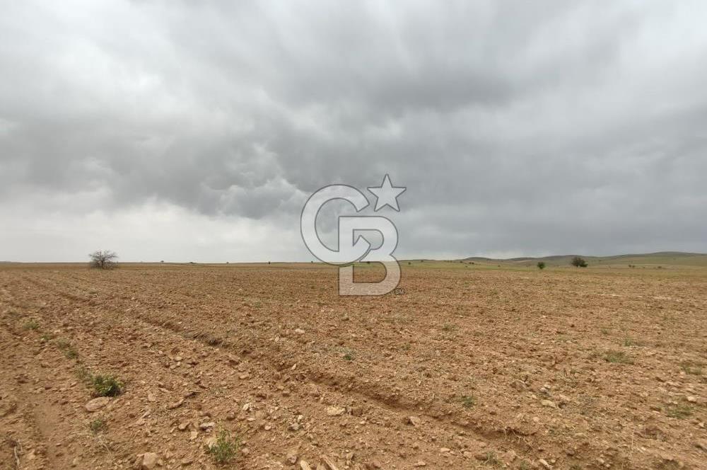 Afyon Evciler Altınova Köyünde Müstakil Tapulu 34.000 m2 Tarla
