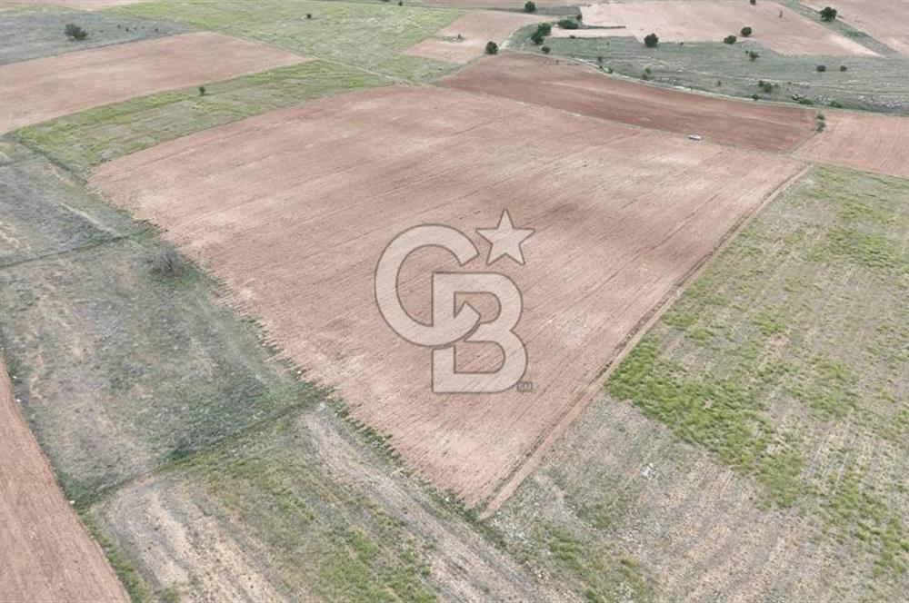 Afyon Evciler Altınova Köyünde Müstakil Tapulu 34.000 m2 Tarla