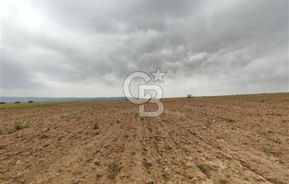 Afyon Evciler Altınova Köyünde Müstakil Tapulu 34.000 m2 Tarla