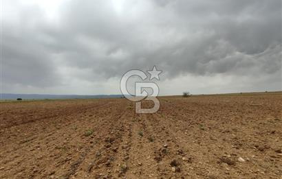 Afyon Evciler Altınova Köyünde Müstakil Tapulu 34.000 m2 Tarla