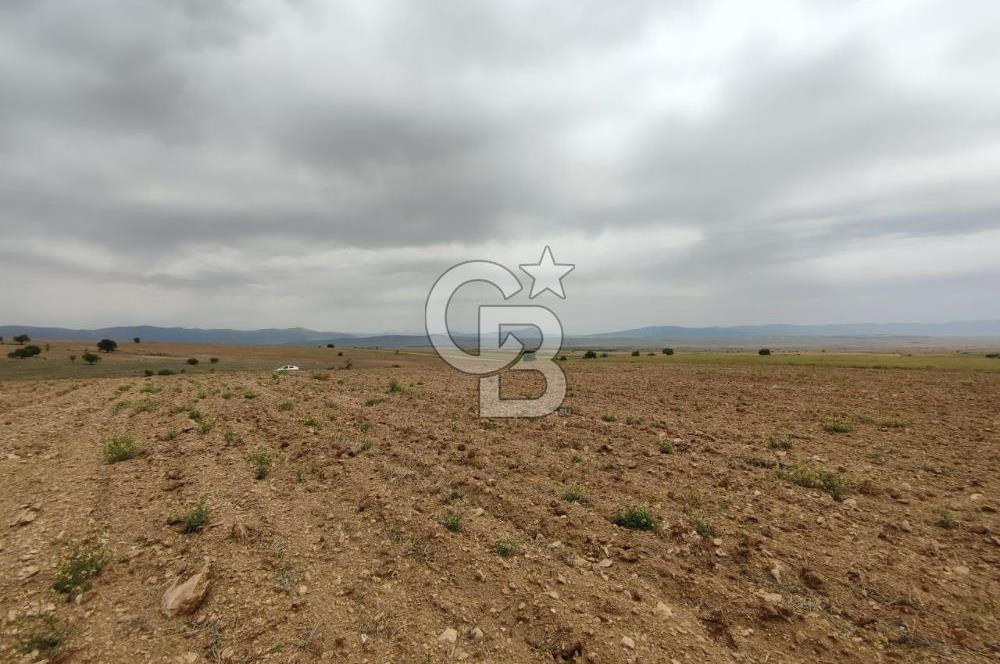Afyon Evciler Altınova Köyünde Müstakil Tapulu 34.000 m2 Tarla
