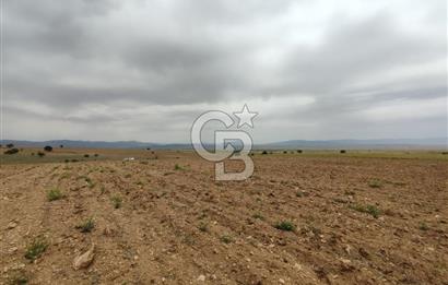 Afyon Evciler Altınova Köyünde Müstakil Tapulu 34.000 m2 Tarla