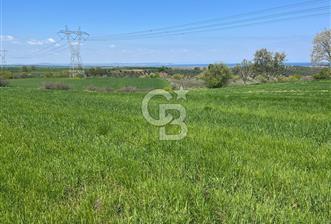 Afyon Evciler Altınova Köyünde Müstakil Tapulu 34.000 m2 Tarla