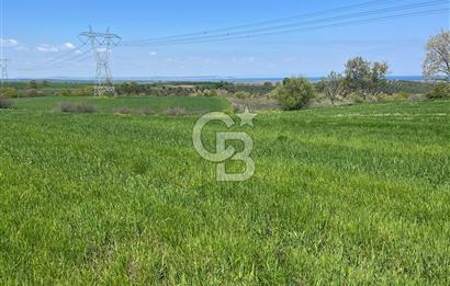 Afyon Evciler Altınova Köyünde Müstakil Tapulu 34.000 m2 Tarla