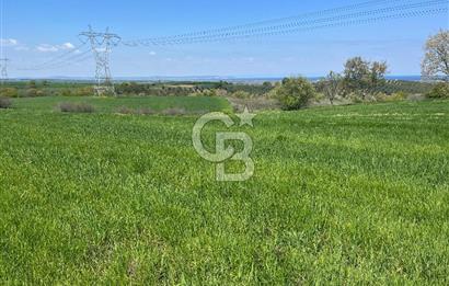Afyon Evciler Altınova Köyünde Müstakil Tapulu 34.000 m2 Tarla