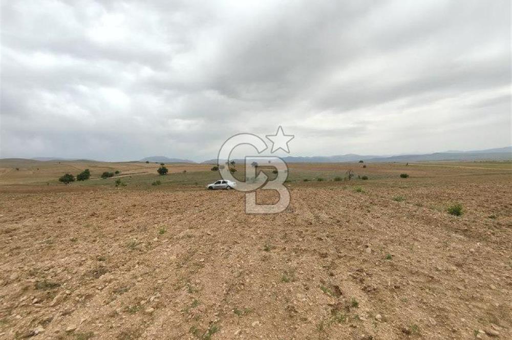 Afyon Evciler Altınova Köyünde Müstakil Tapulu 34.000 m2 Tarla