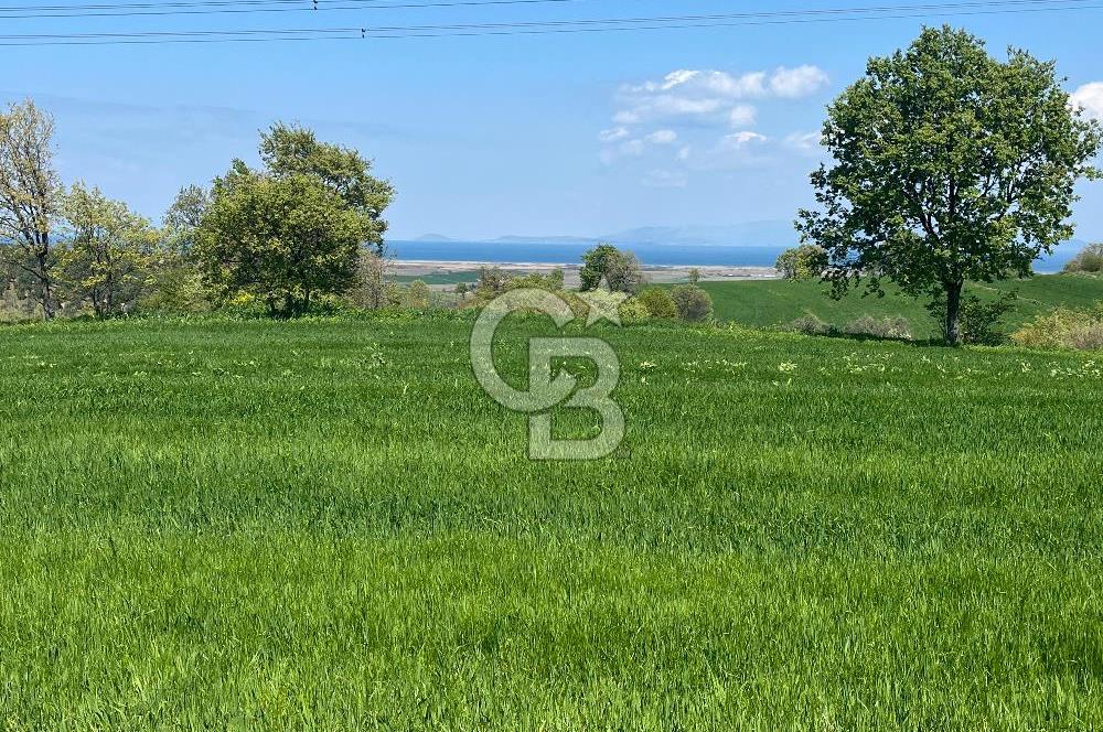 Afyon Evciler Altınova Köyünde Müstakil Tapulu 34.000 m2 Tarla