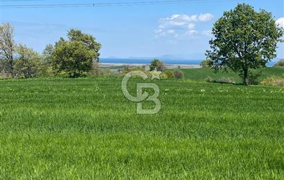 Afyon Evciler Altınova Köyünde Müstakil Tapulu 34.000 m2 Tarla