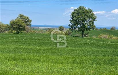 Afyon Evciler Altınova Köyünde Müstakil Tapulu 34.000 m2 Tarla
