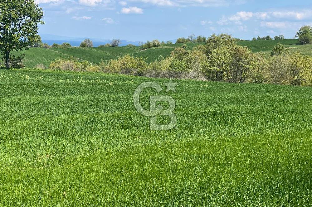 Afyon Evciler Altınova Köyünde Müstakil Tapulu 34.000 m2 Tarla