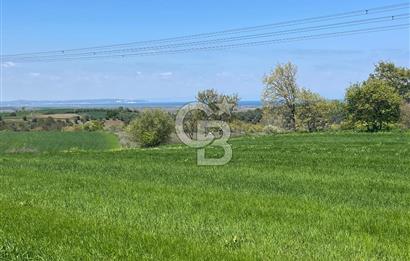 Afyon Evciler Altınova Köyünde Müstakil Tapulu 34.000 m2 Tarla