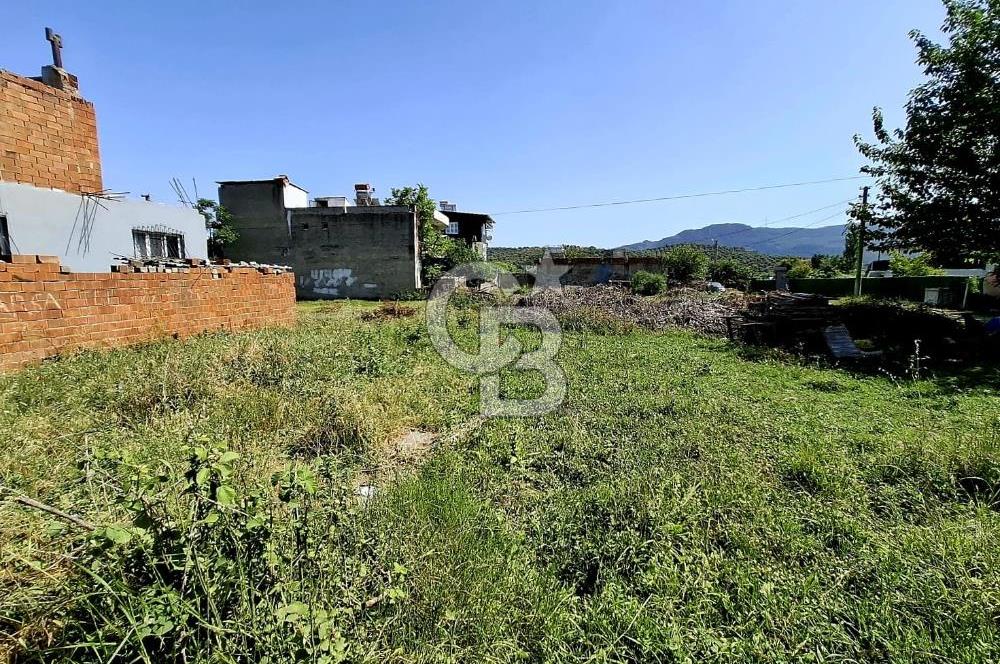 Fırsat Aydın Germencik Ortaklar Mahallesinde Satılık İmarlı Arsa
