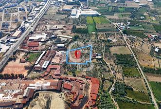 Manisa Turgutlu'da İmar Sınırında Muhteşem Konumda Tarla