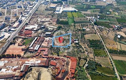 Manisa Turgutlu'da İmar Sınırında Muhteşem Konumda Tarla