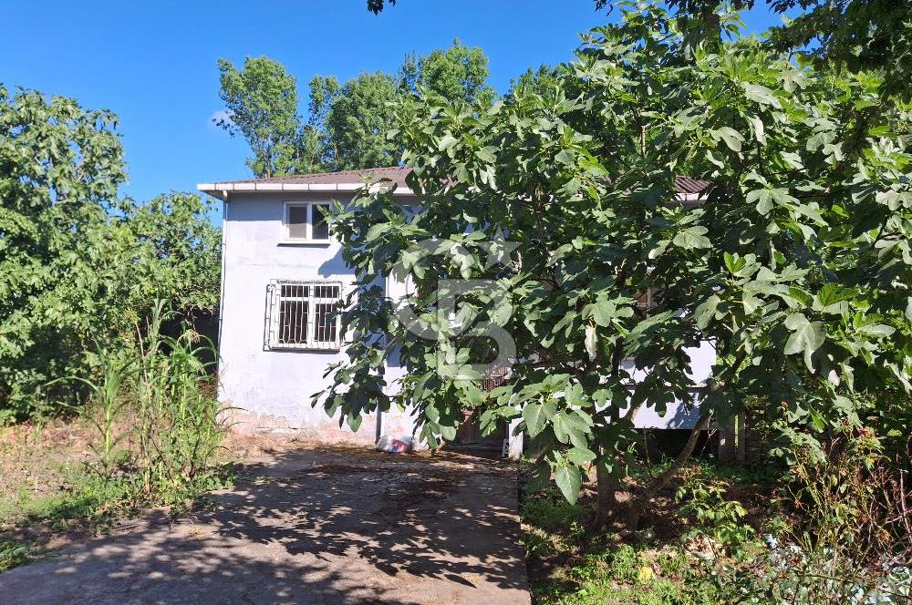 TERME FENK MAHALLESİNDE SATILIK İMARLI FIRSAT ARSA! 