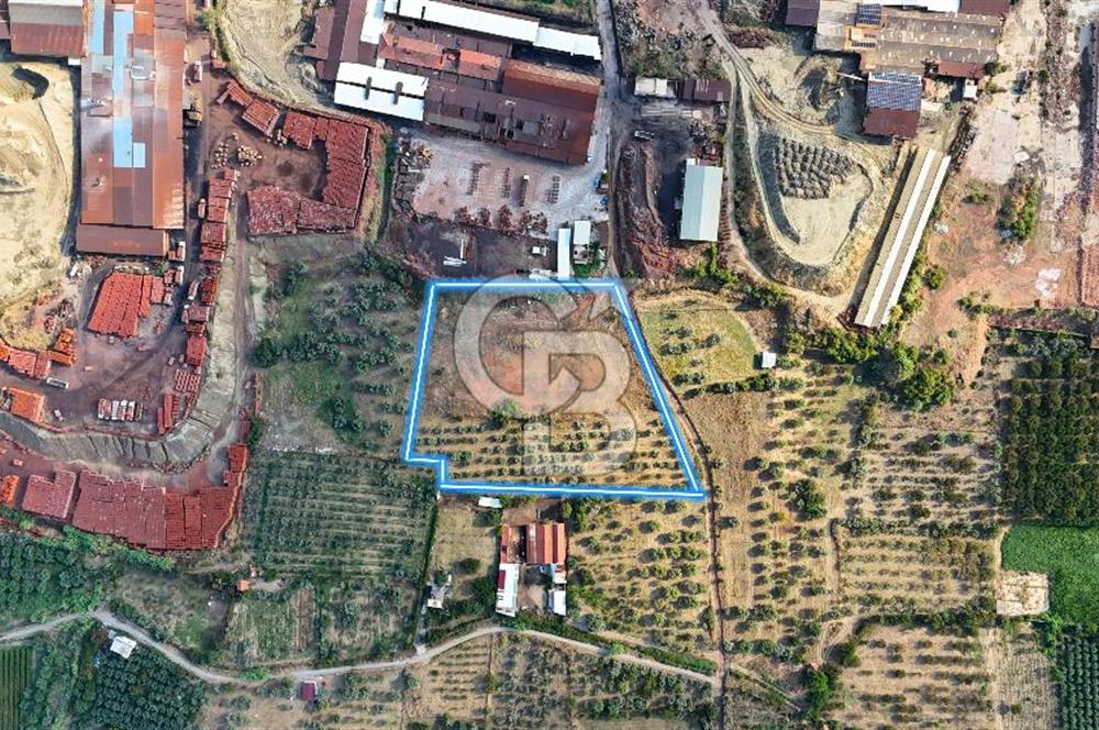 Manisa Turgutlu'da İmar Sınırında Muhteşem Konumda Tarla