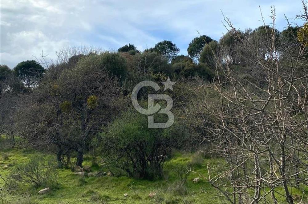 FOÇA KOZBEYLİ ‘de DOĞA İLE İÇ İÇE SATILIK TARLA