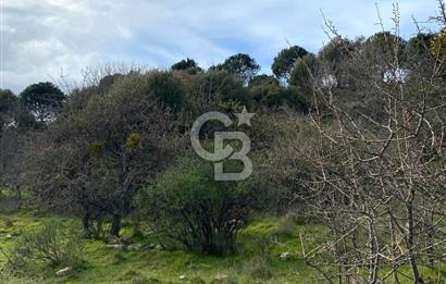 FOÇA KOZBEYLİ ‘de DOĞA İLE İÇ İÇE SATILIK TARLA