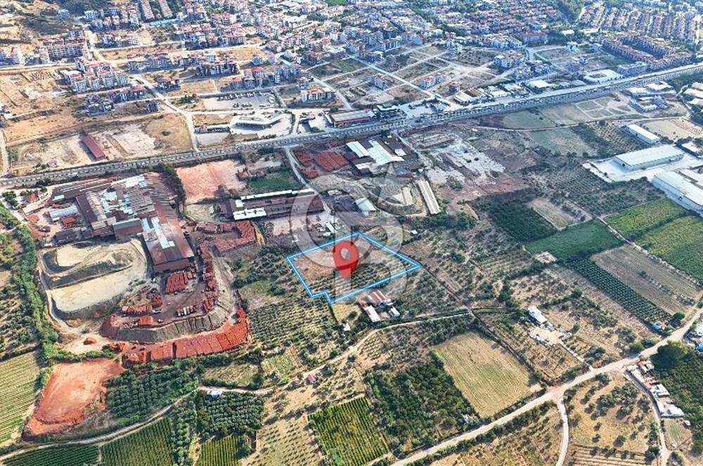 Manisa Turgutlu'da İmar Sınırında Muhteşem Konumda Tarla
