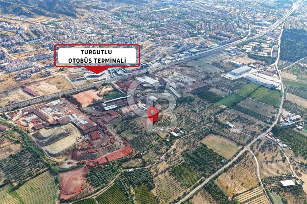 Manisa Turgutlu'da İmar Sınırında Muhteşem Konumda Tarla