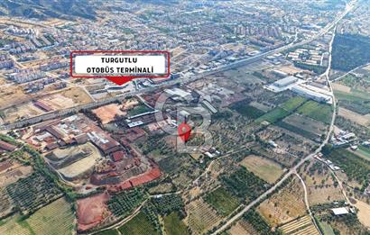 Manisa Turgutlu'da İmar Sınırında Muhteşem Konumda Tarla