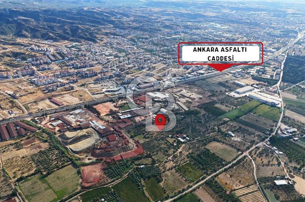 Manisa Turgutlu'da İmar Sınırında Muhteşem Konumda Tarla