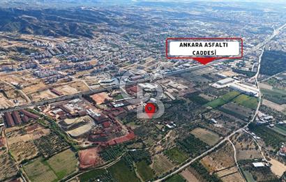 Manisa Turgutlu'da İmar Sınırında Muhteşem Konumda Tarla