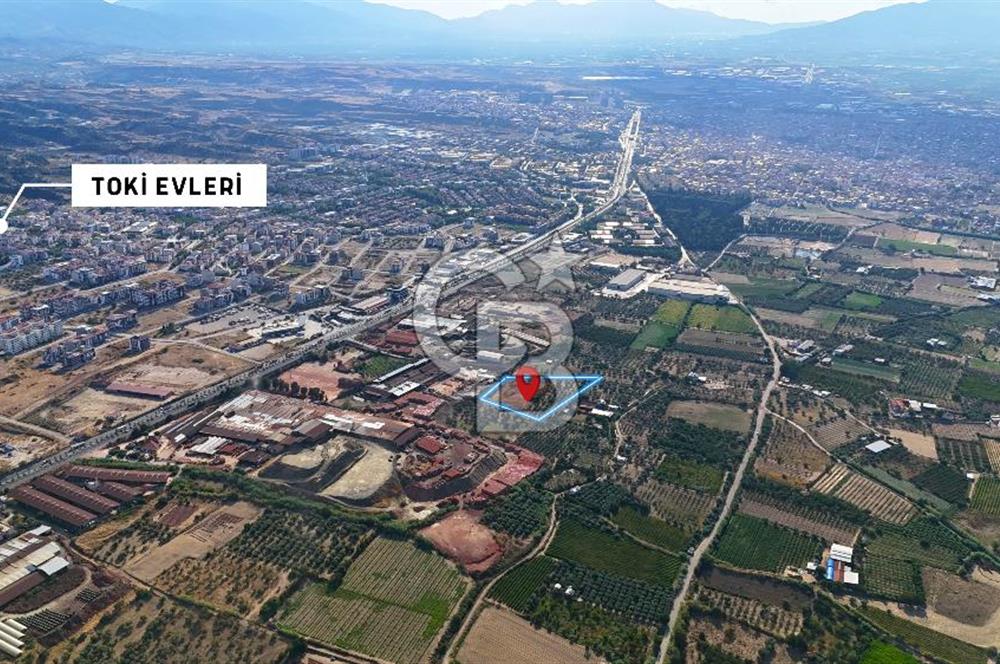 Manisa Turgutlu'da İmar Sınırında Muhteşem Konumda Tarla