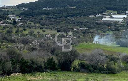 FOÇA KOZBEYLİ ‘de DOĞA İLE İÇ İÇE SATILIK TARLA