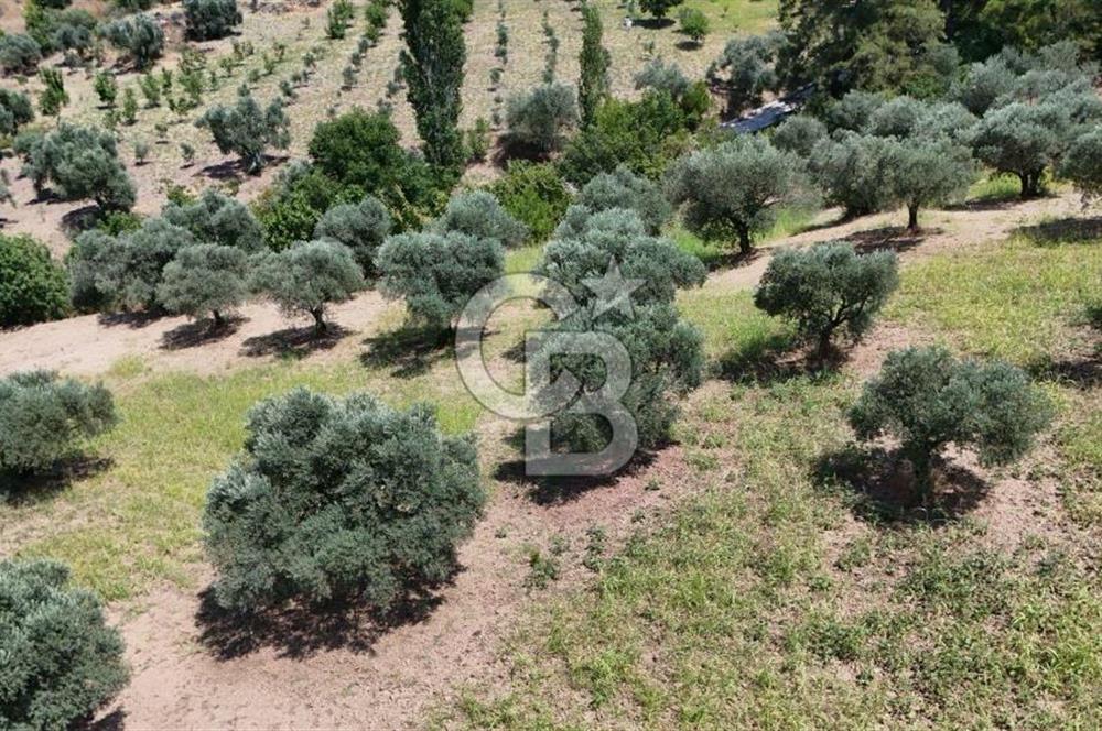 KEMALPAŞA YUKARIKIZILCA'DA OTANTİK KÖY EVİ