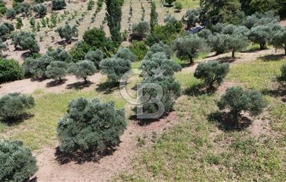 KEMALPAŞA YUKARIKIZILCA'DA OTANTİK KÖY EVİ