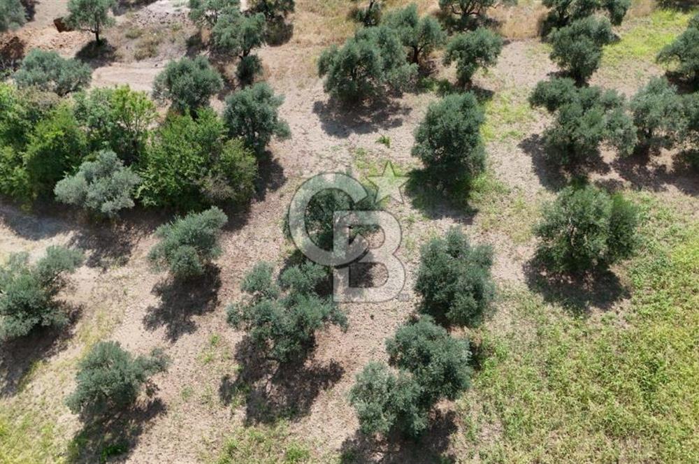 KEMALPAŞA YUKARIKIZILCA'DA OTANTİK KÖY EVİ