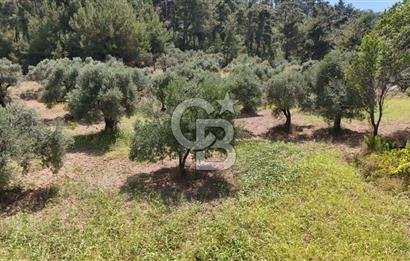 KEMALPAŞA YUKARIKIZILCA'DA OTANTİK KÖY EVİ