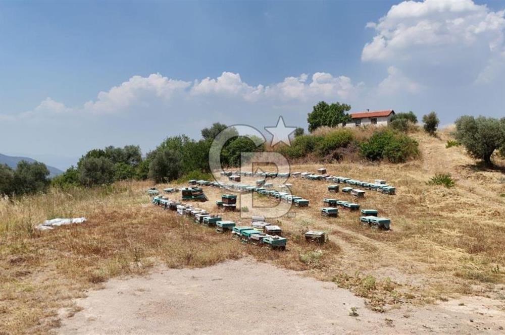 KEMALPAŞA YUKARIKIZILCA'DA OTANTİK KÖY EVİ