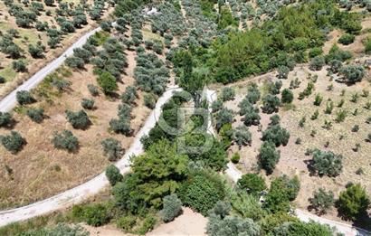 KEMALPAŞA YUKARIKIZILCA'DA OTANTİK KÖY EVİ