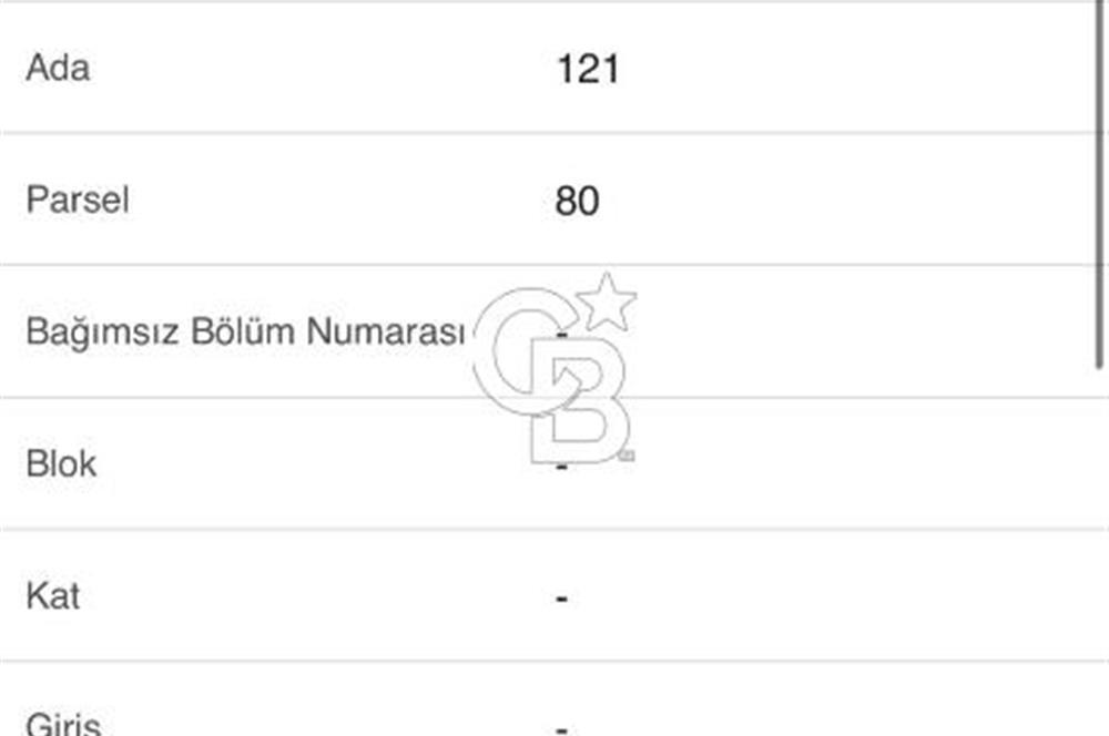 Torbalı Karakızlar'da 7516 m2 Zeytinlik