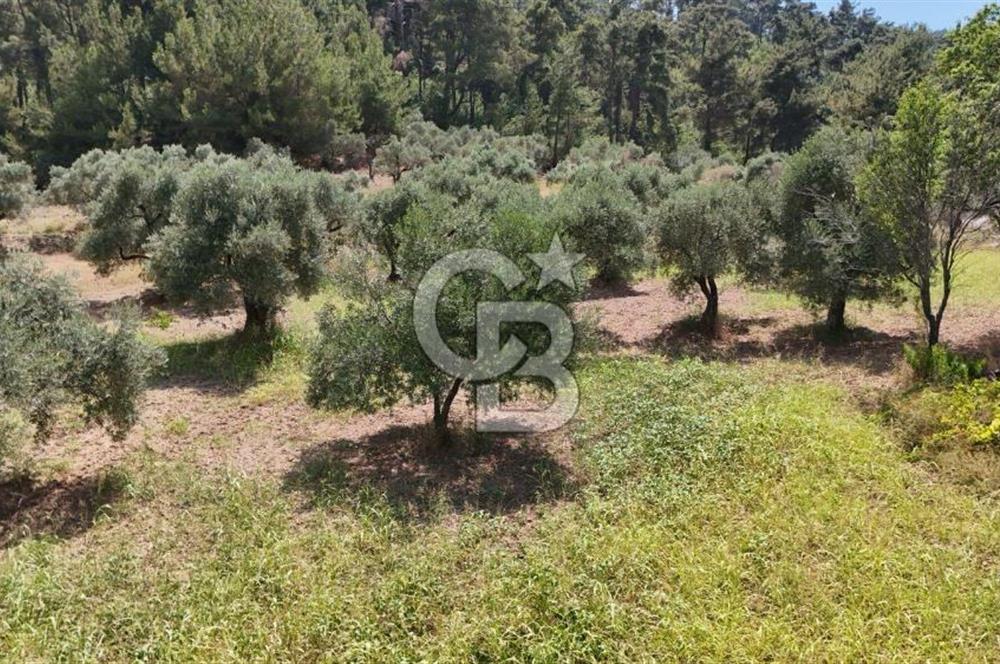KEMALPAŞA YUKARIKIZILCA'DA OTANTİK KÖY EVİ
