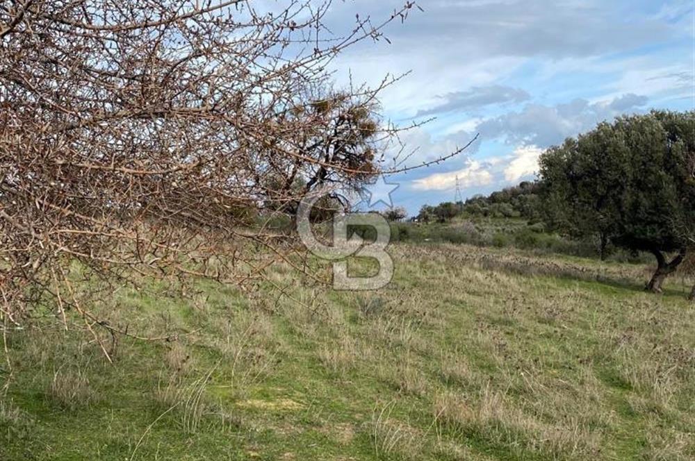 FOÇA KOZBEYLİ ‘de DOĞA İLE İÇ İÇE SATILIK TARLA