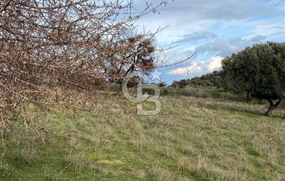 FOÇA KOZBEYLİ ‘de DOĞA İLE İÇ İÇE SATILIK TARLA