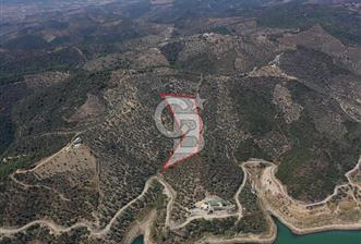 Seferihisar Beyler Köyü’nde 25.785 m² Zeytinlik – 1.500+ Ağaçlı, Baraj Manzaralı Yatırımlık Arazi!
