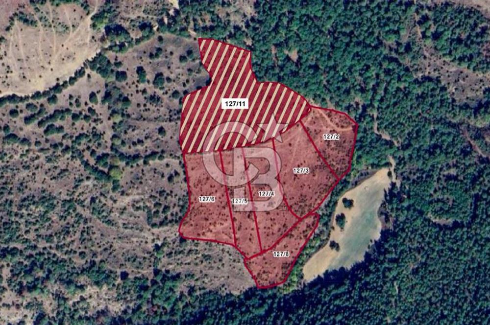 Çanakkale Bayramiç'te yatırımlık satılık tarla