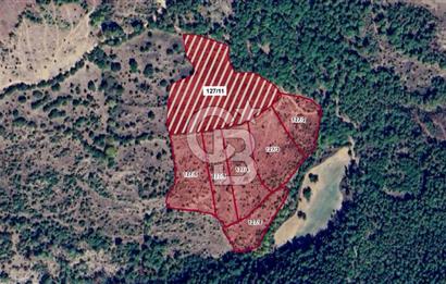 Çanakkale Bayramiç'te yatırımlık satılık tarla