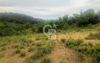 Çanakkale Bayramiç'te yatırımlık satılık tarla