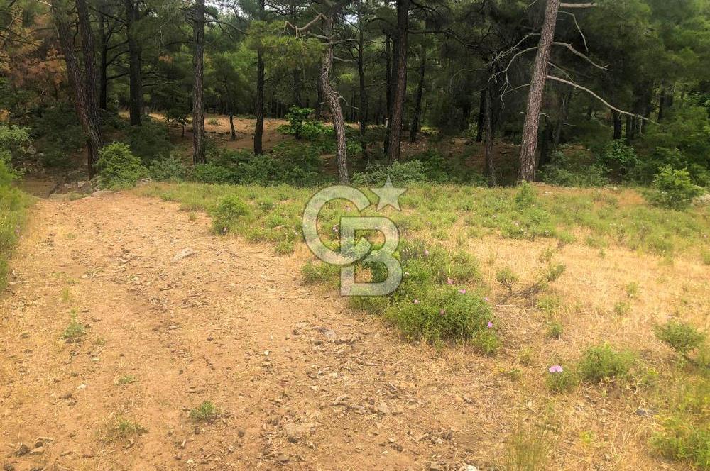 Çanakkale Bayramiç'te yatırımlık satılık tarla